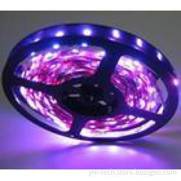 LED Strip 3528SMD120 LED BLACK PCB  NON-WATERPROOF